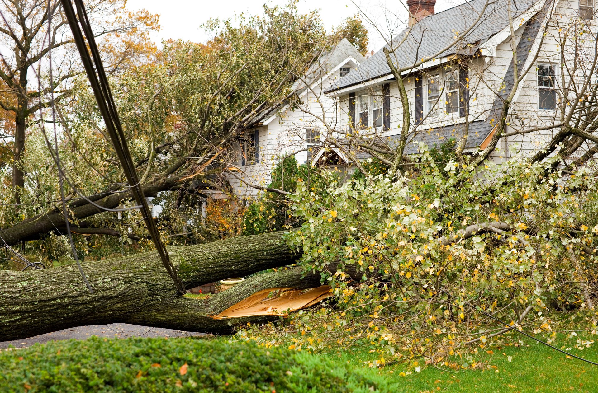 Hurricane Damaged Homes